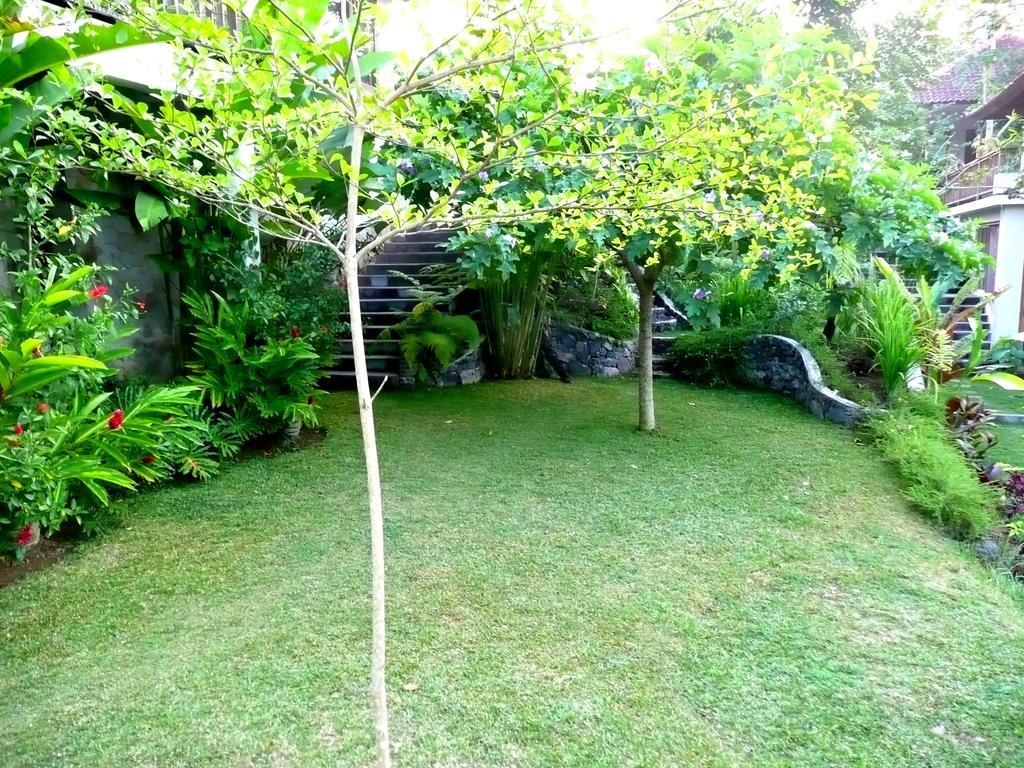 Villa Viola Ubud  Exterior photo