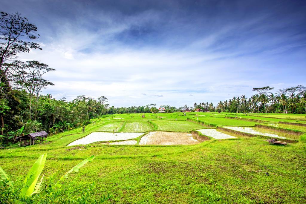 Villa Viola Ubud  Exterior photo