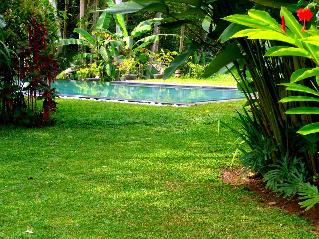 Villa Viola Ubud  Exterior photo